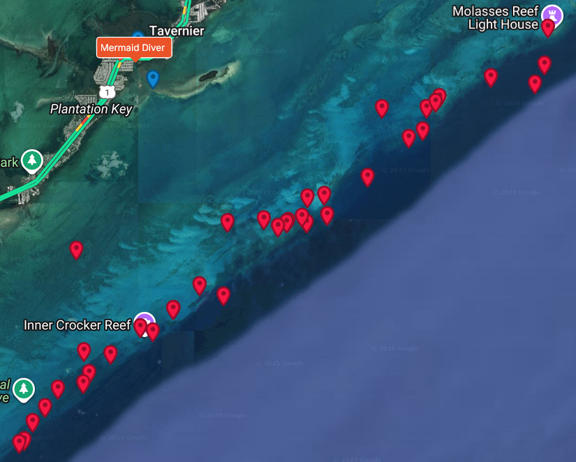 Molasses-Eagle dive site maps